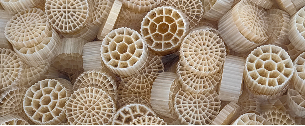 Komplexní průvodce procesy biofilmu při úpravě vody